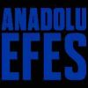 Anadolu Efes'e Uluslararası Ödül