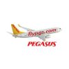 Pegasus’a Uluslararası Ödül