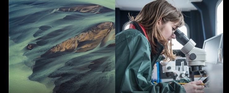 Ericsson İnovasyon Ödülleri 2020: İklim değişikliğinin üstesinden gelmek