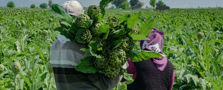 Deprem bölgesinde üreticiye Migros desteği