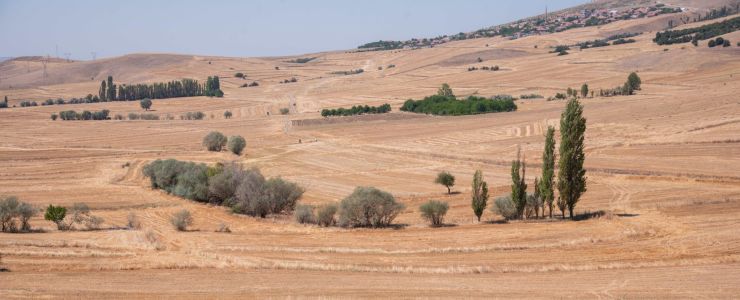 TEMA Vakfı’ndan Toprak İçin Bir Olma Çağrısı