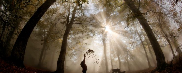 “Doğaya Kelebek Etkisi” Fotoğraf Yarışması Sonuçlandı