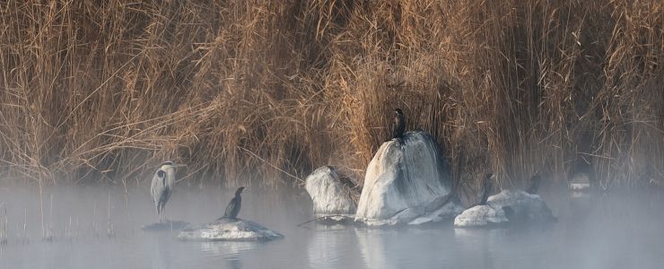 Doğaya Kanat Açtık Doğu Anadolu&rsquo;da