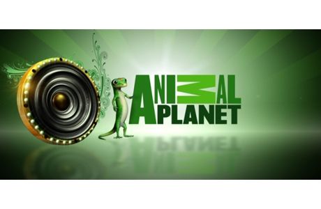 Animal Planet'in Türkiye yüzü kim oldu?