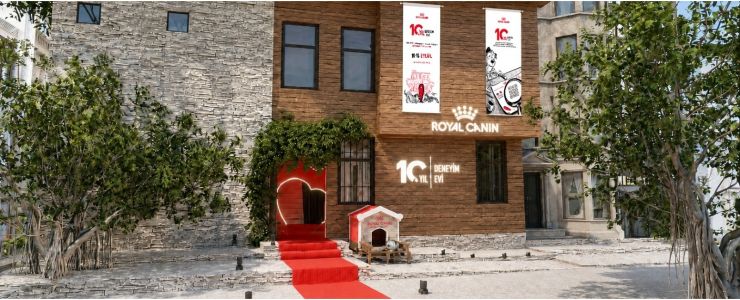 Kedi ve Köpek Sağlığını Bilimin Gözünden Keşfedin